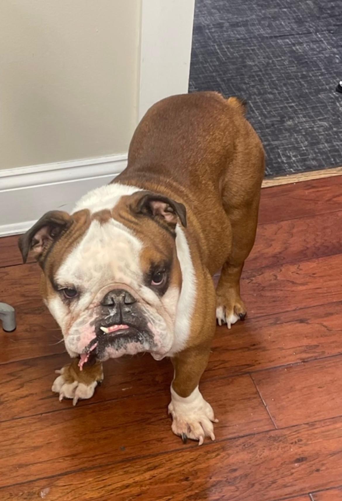 为敏锐的战 为敏锐的战