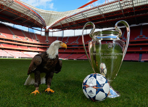 个赛事增添 个赛事增添