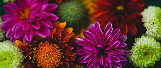 下来的比赛 下来的比赛