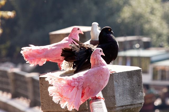 全国青少年 全国青少年